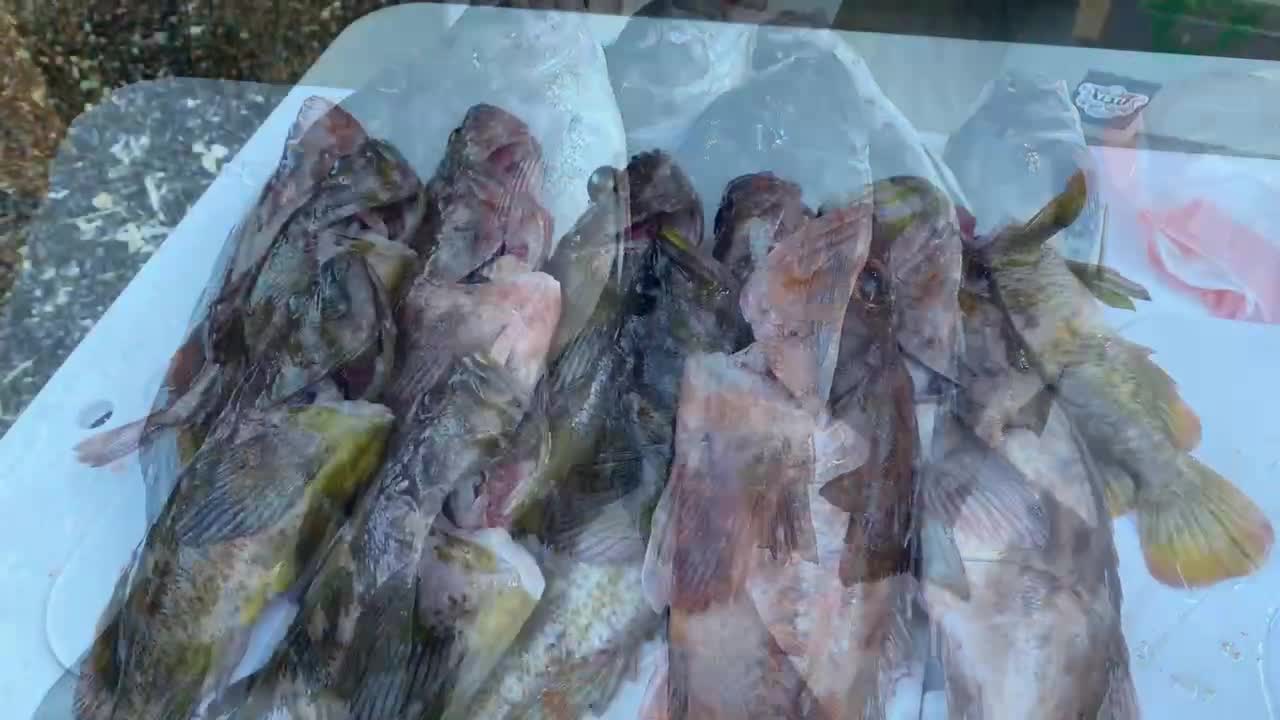 Son’s 2 year fishing compilation