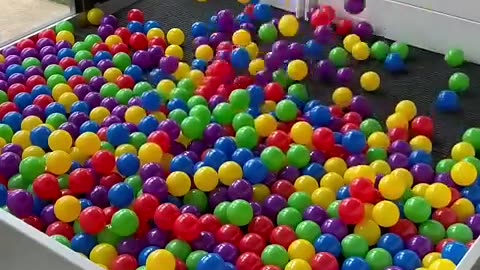 Building a Puppy Ball Pit! #cat #cute #kitten #pets #meow #videos #shorts #dog