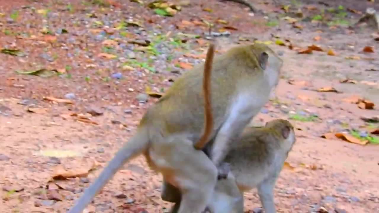 OMG, REALY ADORABLEEEEE