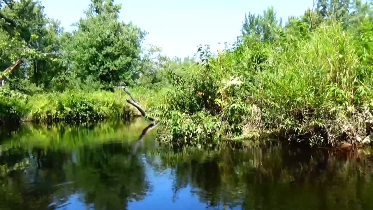 Kayaking Adventure