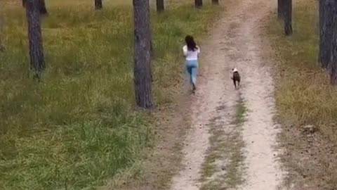 Playing wonderful forest in my 🐕