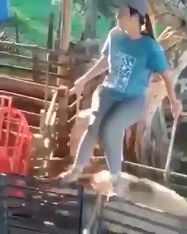 funny videos 2021 the sheep follow the rules like us!