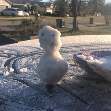Snowman in Florida
