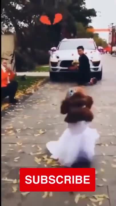 Funny cute animals try not to laugh😹 -Funny animals -Min cute animals 🐵🐷 funnyanimal