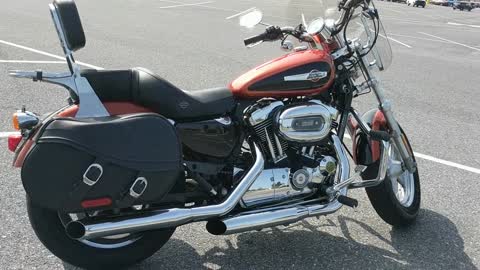 2011 Harley-Davidson Sportster 1200 Custom Walkaround