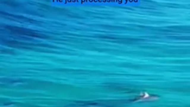 Motivational Mood