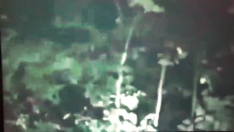 Where are they came front?