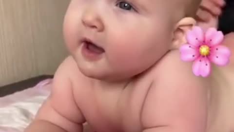 Cute chubby baby - Funny video