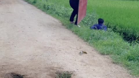 Best Funny Videos - Challenge Do Not Laugh Best Funny Videos