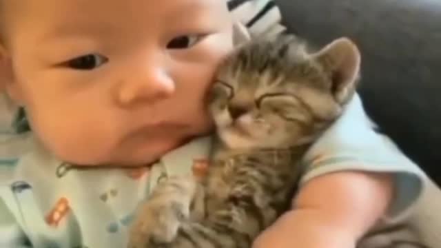 cute child and kitten