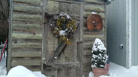 Wintery Hatch Day