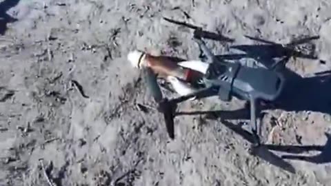 North Mexico Cartels