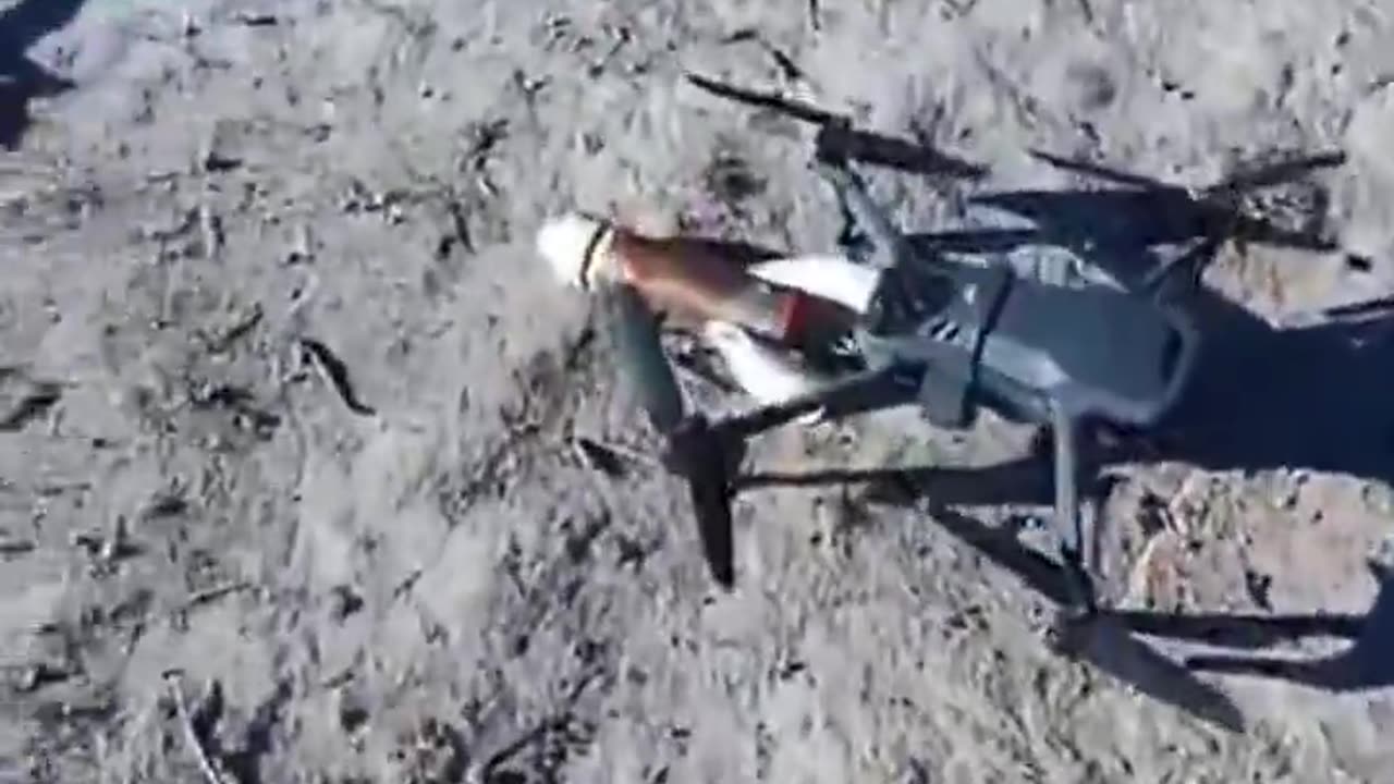 North Mexico Cartels