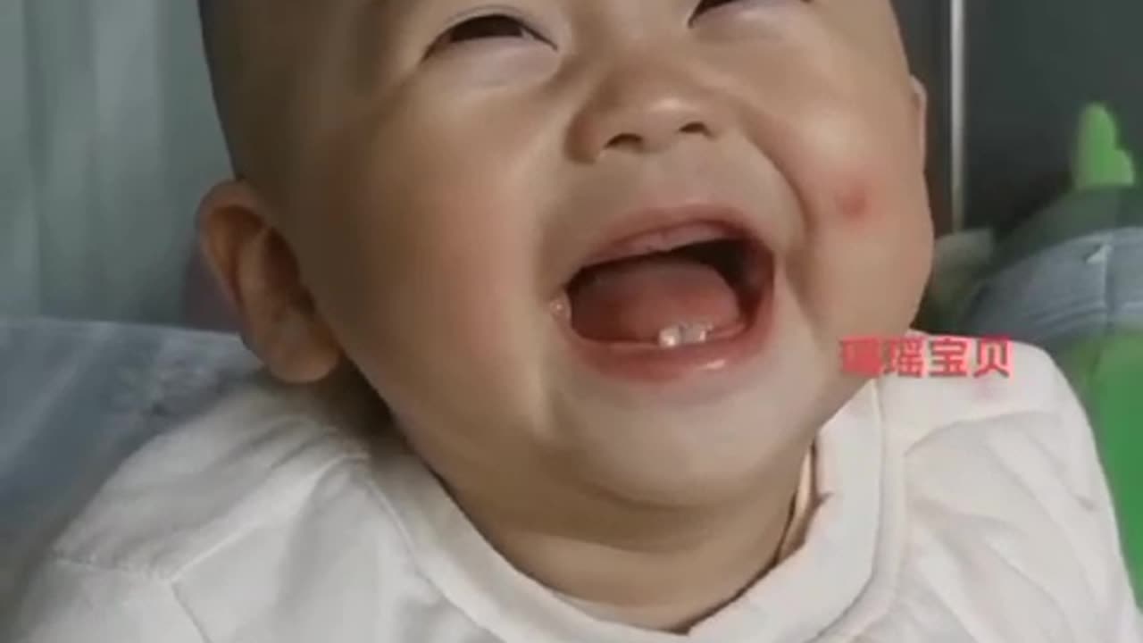 Try Not To Laugh: cute baby funny videos |Cute Baby Videos #baby #cute