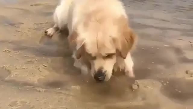 Having some fun on the beach