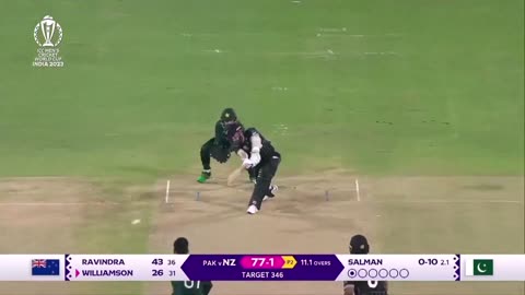 Cricket Highlights