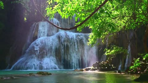 Relaxing Nature Landscape - Waterfall