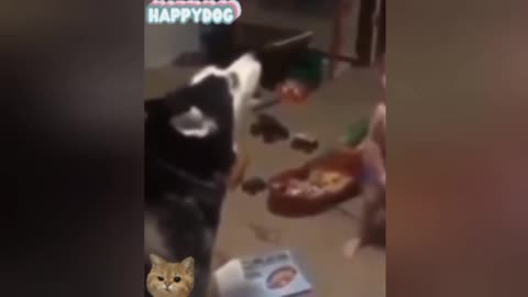 Child singing with dog