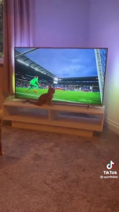 [Fun Time] After a sad day, release your anger. Being angry is not good for your health