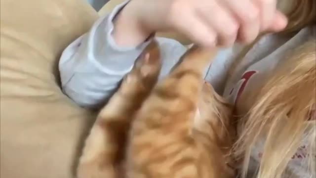Cat_Grabs_Owner_Arm_to_Demand_Cuddles