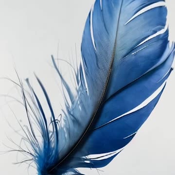 Corporal Brandon Schreiber: Newton County SO, IN