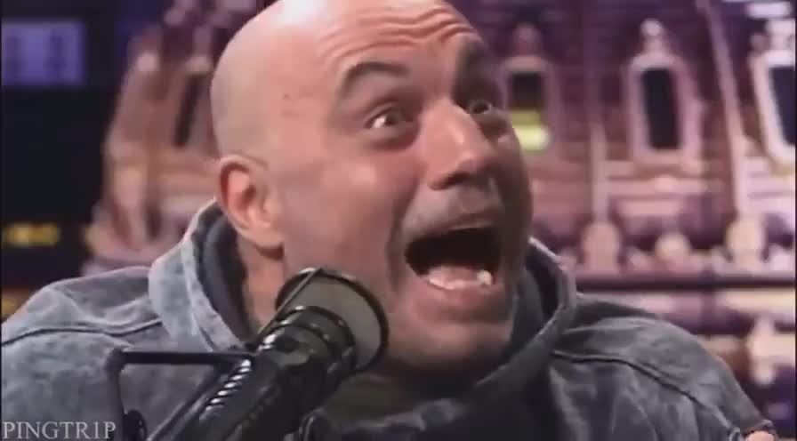 Alex Jones and Joe Rogan getting high