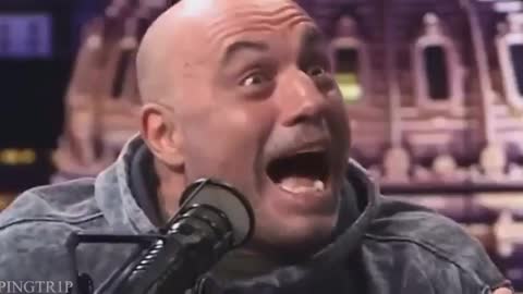 Alex Jones and Joe Rogan getting high