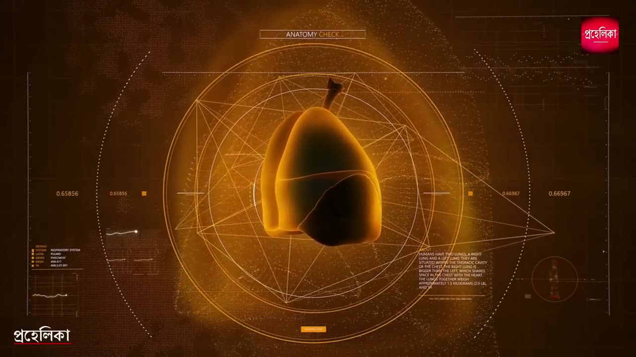 How to make mind clam