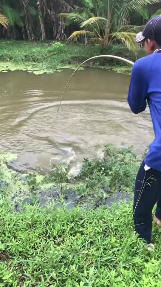 fishing and get results