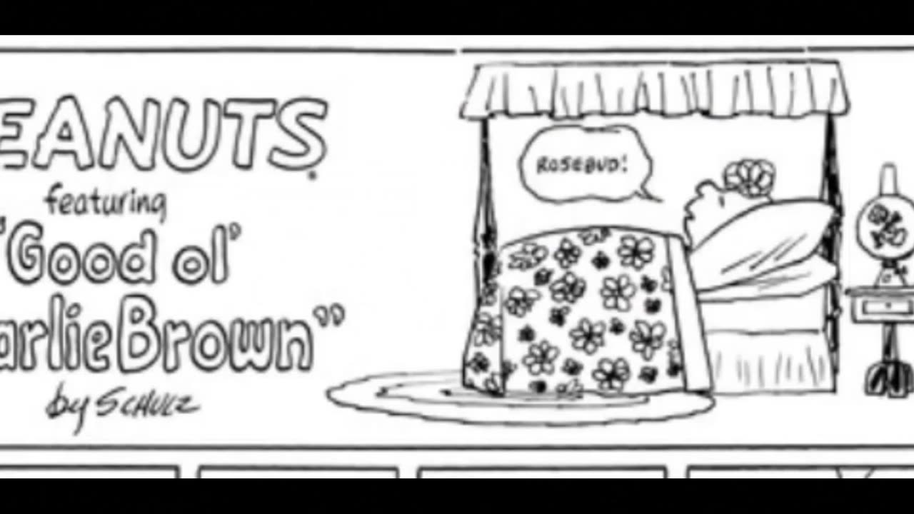 Charlie Brown Peanuts Citizen Kane and Rosebud