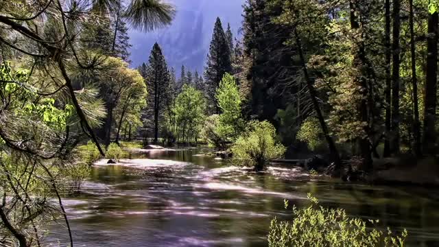 20 Minute Instant CALMING MUSIC, Relaxing