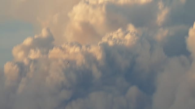 Pyrocumulus Fire Explodes As 8 Quakes Rattle Mendocino 2020