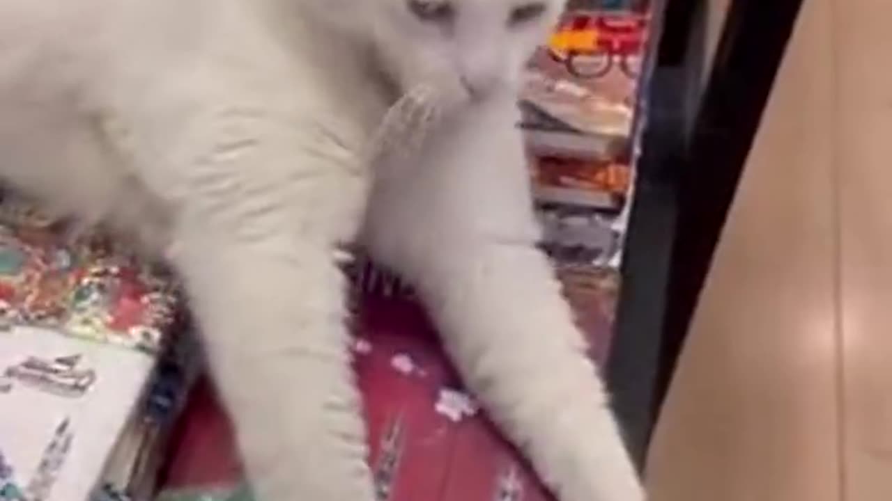 You Shall Not Take My book