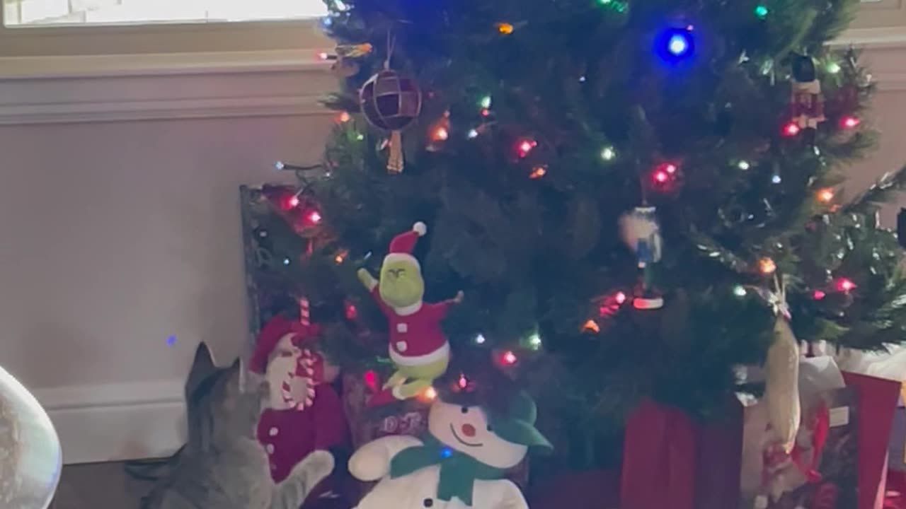 Kitty Claims The Grinch