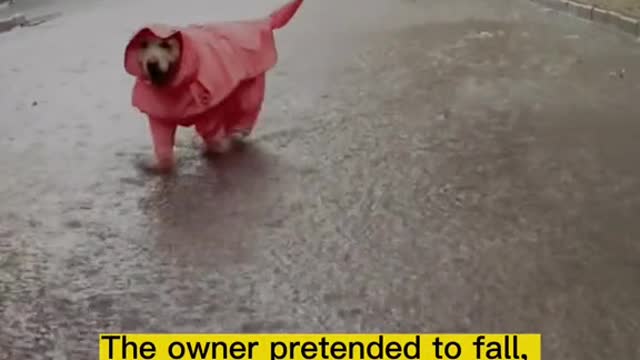 These raincoats look cool