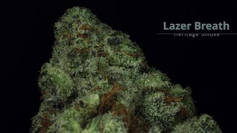 Kushector Spin Animation - Lazer Breath 4k Spin Animation