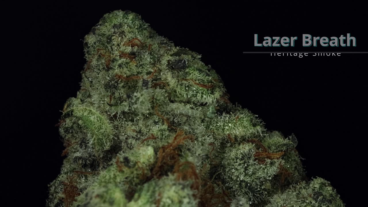 Kushector Spin Animation - Lazer Breath 4k Spin Animation