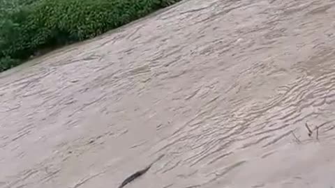 Emergencias en Floridablanca