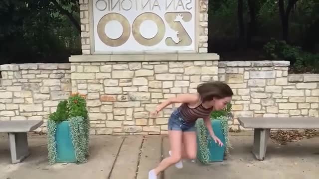 01 - Bet you can't hold your laughter - Funny Animals and Cute pets