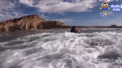 Surfing Dog CHARLIE