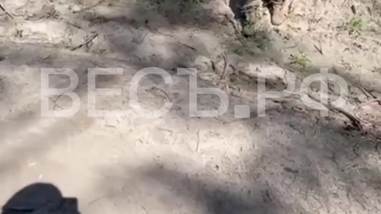 Russians attitude towards the surrendered Ukrainian's soldiers is respect with integrity.
