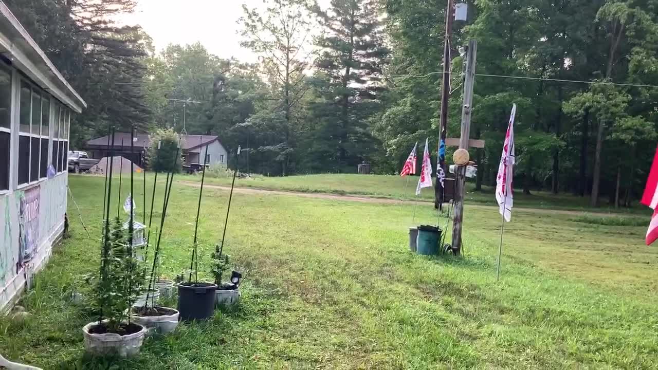 Trump victory garden August 22, 2021 Sunday