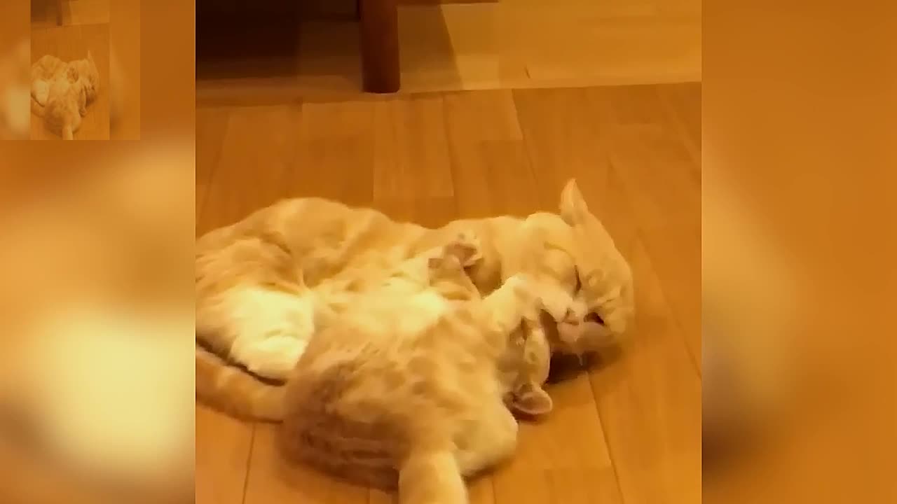 I don't need your comfort