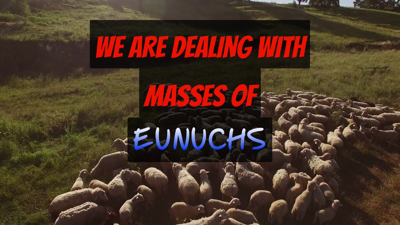 We are Dealing with Masses of Eunuchs - A Generation of Wusses