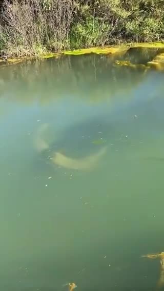 It took me entirely too long to figure out what it was 😅