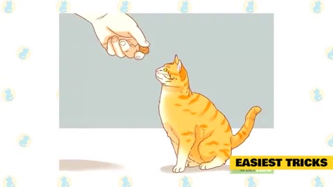 Some helpful tips and tricks you have to teach it to ur cat