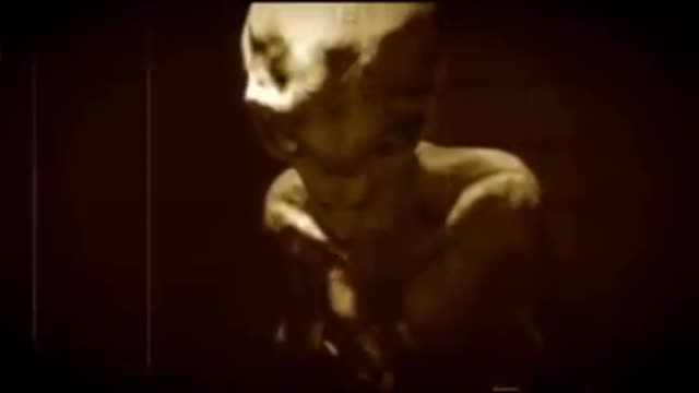 Real Alien Interview