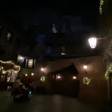 Diagon Alley during Christmas