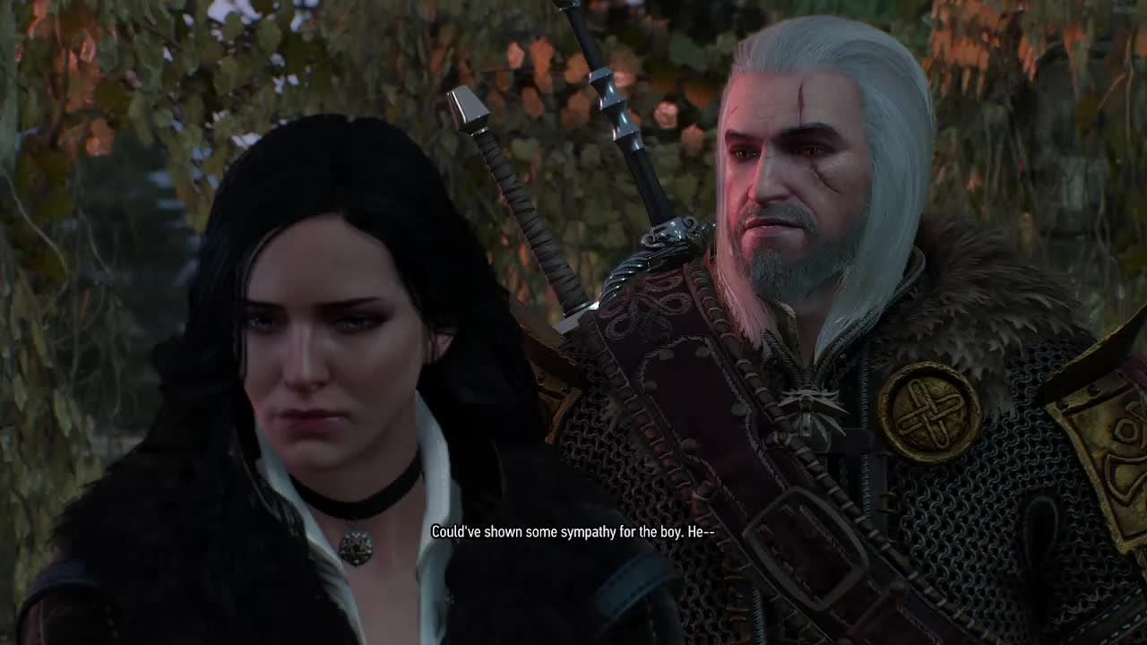 Two swords one Witcher 15