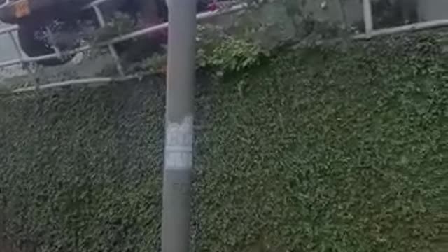 Accidente en el concesionario de Motoreste de Bucaramanga